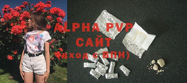 PSILOCYBIN Богданович