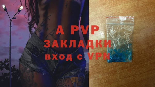 PSILOCYBIN Богданович
