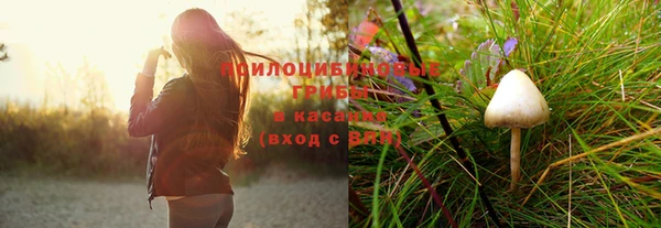 гидра Беломорск