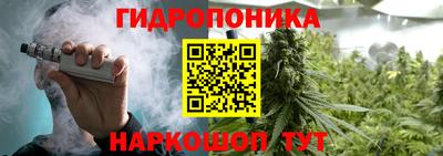 ECSTASY Заводоуковск