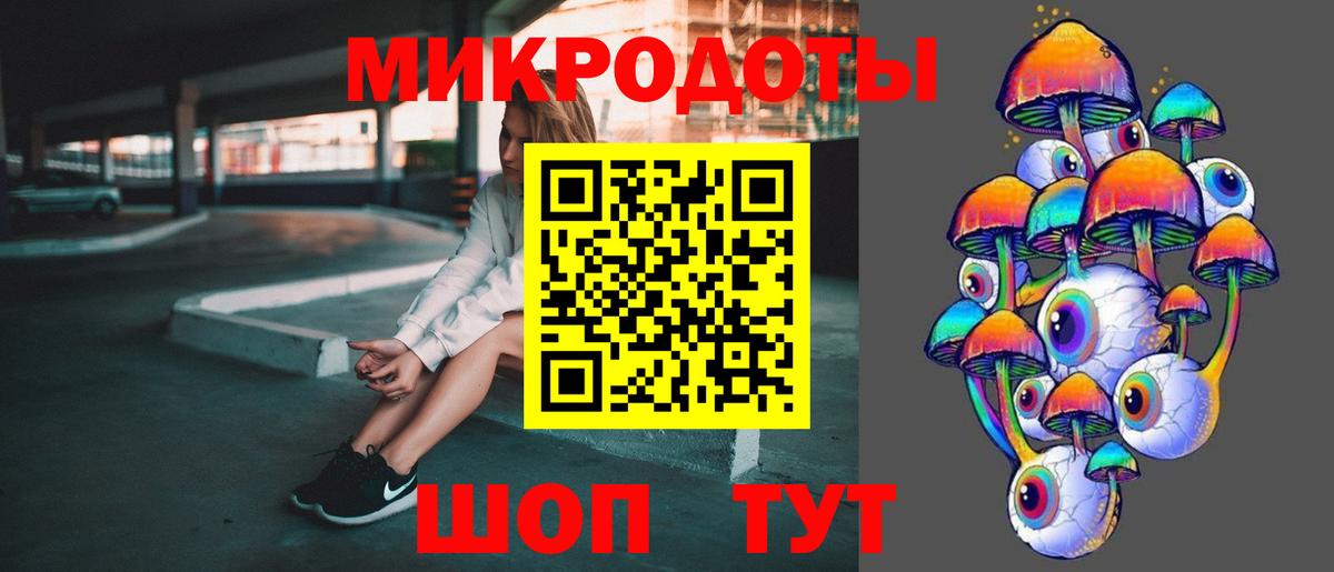 Псилоцибиновые грибы Psilocybine cubensis Минеральные Воды